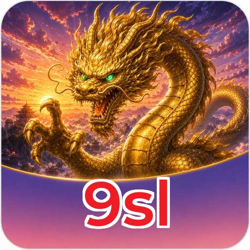 How to Update 9sl
